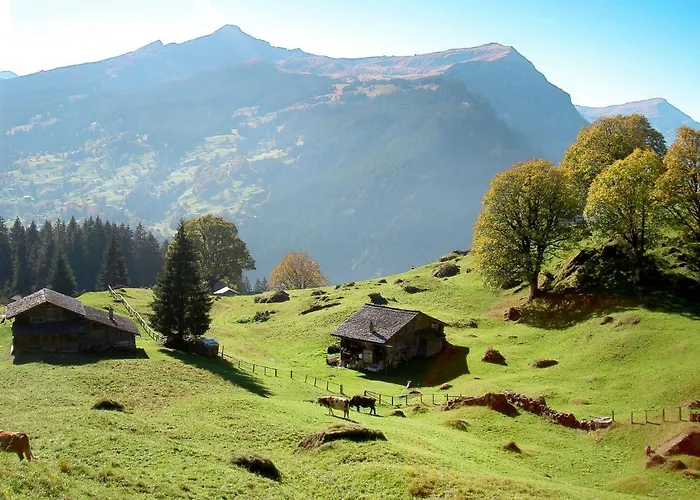 Smaragd-3 By Interhome Apartment Grindelwald