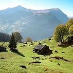 Smaragd-3 By Interhome Apartment Grindelwald
