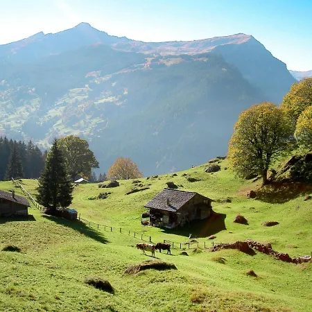 Smaragd-3 By Interhome Apartment Grindelwald